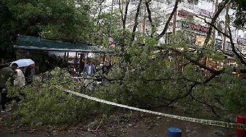 Ankara’da Şiddetli Rüzgar Ağaçları Devirdi, Çatıları Uçurdu