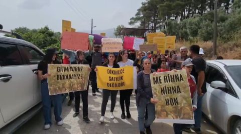 Hatay’daki Kamulaştırmayla Zeytinlikler Yapılaşmaya Açılacak