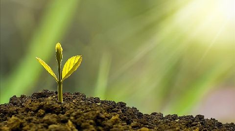 Mimarlar Odası’ndan Dünya Çevre Günü Açıklaması