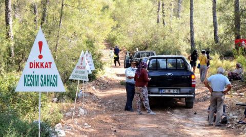 Akbelen’de Ağaç Kesimi Başladı