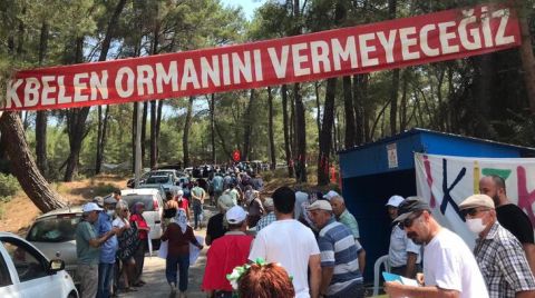 Akbelen Ormanı için STK'lerden Ortak Çağrı