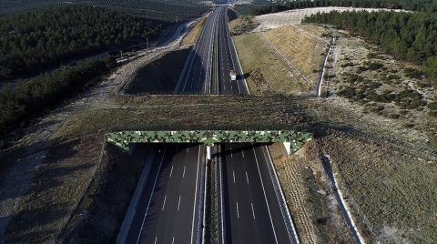 4 Ekolojik Köprünün Yapımı Sürüyor