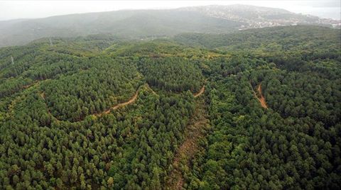 3 İldeki Bazı Alanlar Orman Sınırları Dışına Çıkarıldı