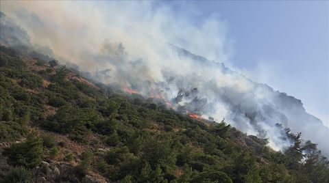 Türkiye’de Bu Yıl 29 Bin Hektar Alan Kül Oldu