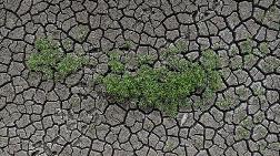 İklim Değişikliğinin Artan Etkileri, Tarımda Daha Fazla Adaptasyon Politikası Gerektiriyor