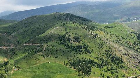 Tarım Alanına Altın Madeni İzni