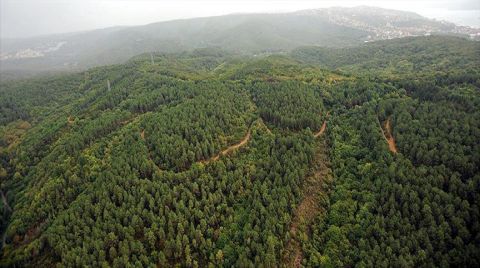 11 İlde Bazı Alanlar Orman Sınırları Dışına Çıkarıldı