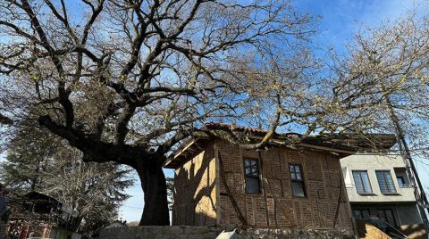 Yalova'daki Osmanlı Mescidinin Restorasyonu Tamamlanıyor