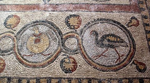Sinop’taki 1600 Yıllık Mozaiklerin Restorasyonu Tamamlandı