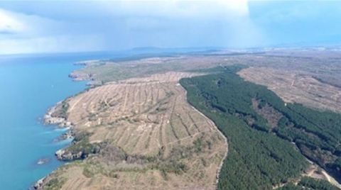 "Sinop'ta Nükleer İnadından Vazgeçin”