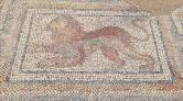 Osmaniye'de Bulunan Roma Mozaikleri Gün Yüzüne Çıkarılıyor