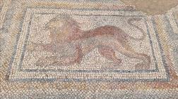 Osmaniye'de Bulunan Roma Mozaikleri Gün Yüzüne Çıkarılıyor
