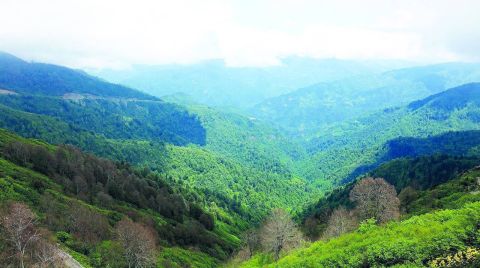 Artvin’de 10 Köyü Kapsayan Alanda Maden Aranacak