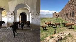 Tarihi Mecidiye Tabyası, 'Ahıra Döndü'