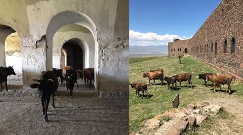 Tarihi Mecidiye Tabyası, 'Ahıra Döndü'