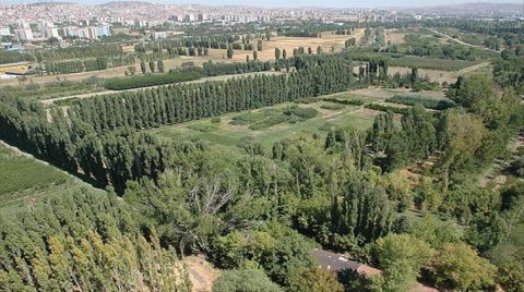 Mimarlardan Atatürk Orman Çiftliği Mücadelesinde Bir Kazanım Daha