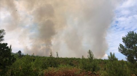 Yalova’da 15 Yıldır Yanmayan Ormanlar, 8 Günde 3 Kez Yandı