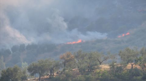 Türkiye'de 6 Ayda 1418 Orman Yangını Çıktı, 17 Bin 316 Deprem Meydana Geldi