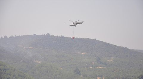 Manisa, Uşak ve Muğla'daki Orman Yangınları Kontrol Altına Alındı