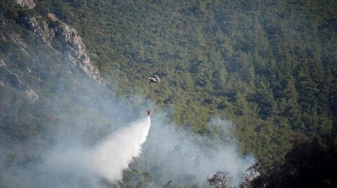 Yangınlar Nedeniyle Afet Bölgesi İlan Edilen Yerlerde Vatandaşlara Nakdi Yardım Yapılacak