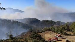 Muğla’da Orman Yangınları