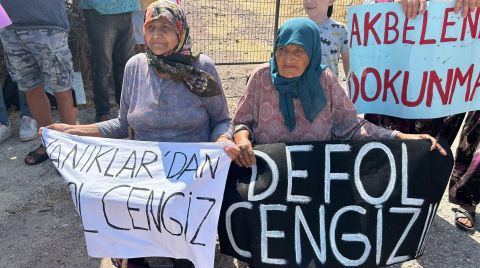 Kaz Dağları'ndaki Madene Yürütmeyi Durdurma