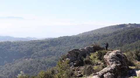 Mahkemenin İptal Ettiği ÇED Raporuna Danıştay’dan Onay