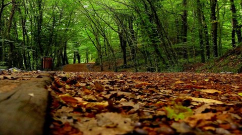 Belgrad Ormanı Şimdilik Kurtuldu!