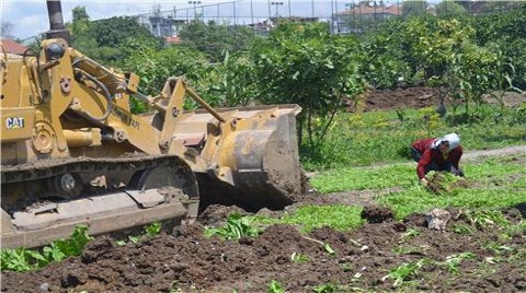 Yedikule Bostanı'nda 'Etik Değil Ama Yasal' Uygulamalar!