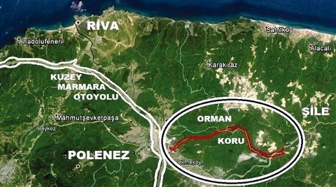 Otoyol Kuzey Ormanlarına Kol Verdi