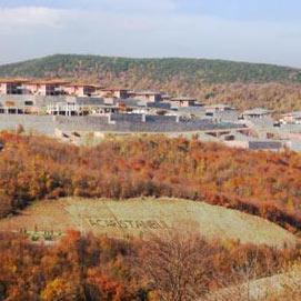 Acaristanbul'da Soruşturmaya İzin