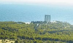 Yeni Şehitlikte Ağaç Tartışması