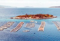 Koylarda Balık Çiftliği Kalmayacak