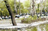 Ankara Elden Gitmeden