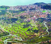 20 Yıl Sonra Yıkım