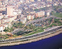 Kartal Yüksekten Uçuyor