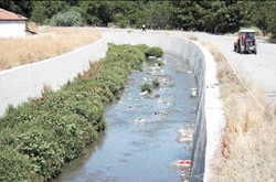 Ankara'da Susuz Yazın Nedenleri ve Yerel Yönetimlerin Sorumluluğu