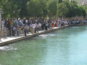 Tarihi Kentler Birliği Üyeleri Şanlıurfada Buluştu