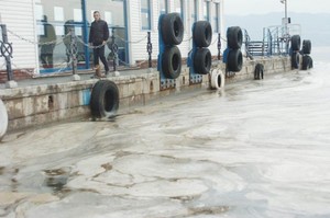 Beyaz Maddenin Sırrı Çözüldü