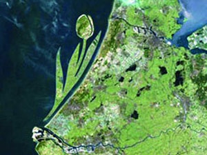 Hollanda'ya Laleli Ada