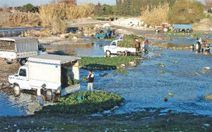 İnsan Sağlığıyla Bu Kadar Oynanmaz ki!