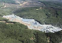 Taşocakları Ormanı Kemiriyor