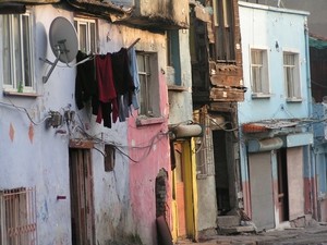 Sulukulelilerden 8 Nisan Dünya Roman Günü'ne Özel Basın Açıklaması