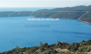 1 Milyon Ağaçlık Endişe