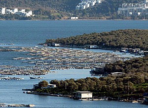 Önce Planı Çıkardılar, Arkasından Çalıştay Yapıyorlar
