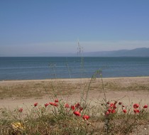 İznik Gölü Kurumaya Başladı