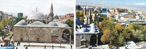 Ağaçlar için İdam Fermanı