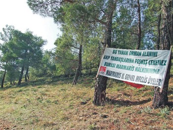 Eski Orman ‘Enişte’ye Emanet