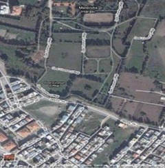 Koç'un Dünürü İzmir'i Karıştırdı