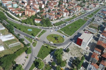 Yalova’da 4.2 Milyon Ağaç Kesilebilir